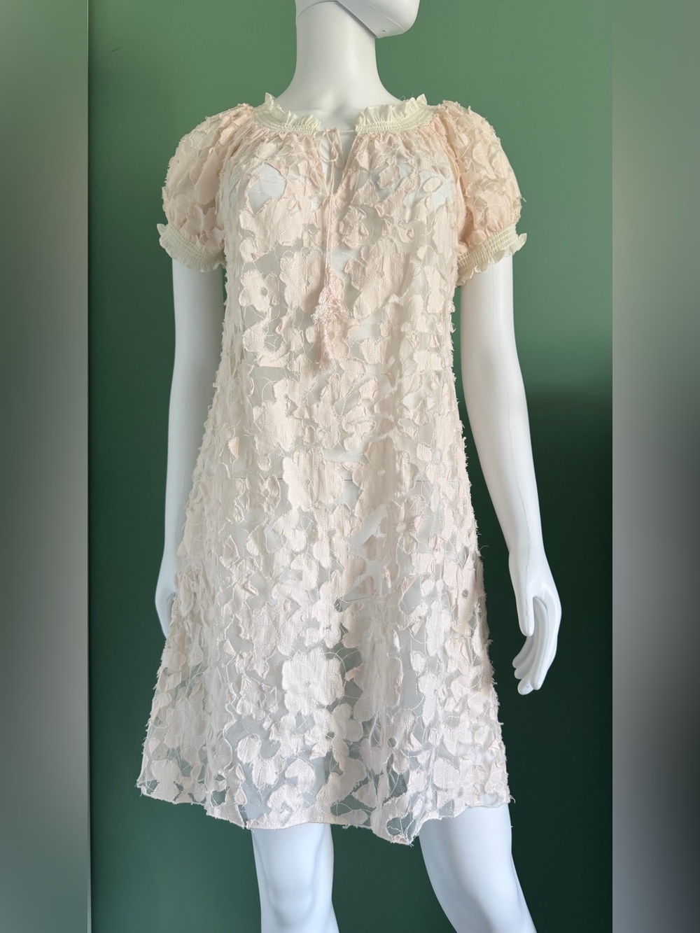 Women’s Vintage Pale Pink Sheer Floral Appliqué  Babydoll Dress